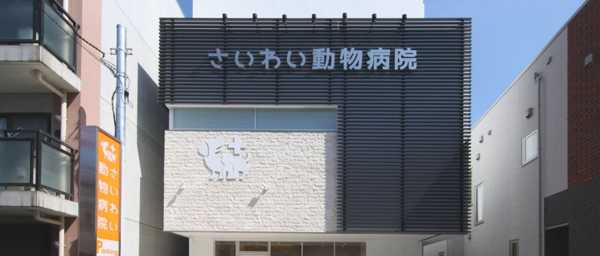 動物病院の選び方と利用ガイド：愛するペットの健康を守るために知っておきたいこと